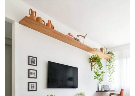 Arquiteta dá dicas para decorar a casa com plantas no fim de ano