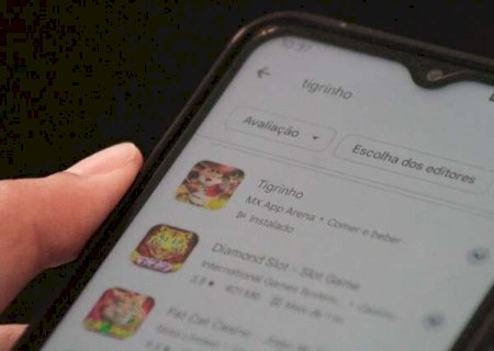 Em 2024, ninguém pesquisou tanto sobre o “Tigrinho” quanto MS