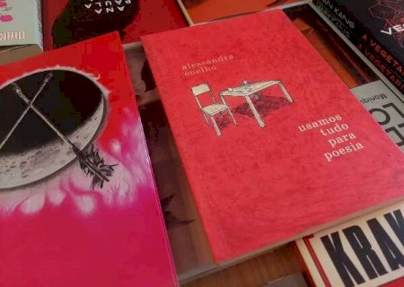 Procurando uma nova leitura? D&ecirc; uma chance aos autores de MS