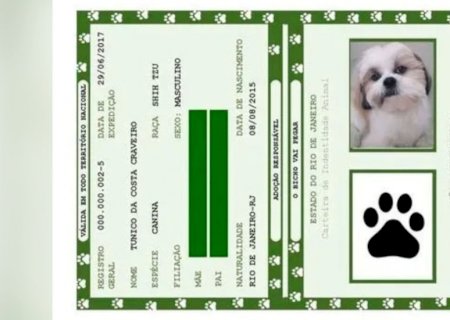 Pets terão ‘RG’ com nomes dos tutores e dados ‘pessoais’ gerais a partir de 2025 no Brasil