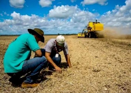 Pesquisa aponta 37 cargos que estar&atilde;o em alta em 2025; saiba quais
