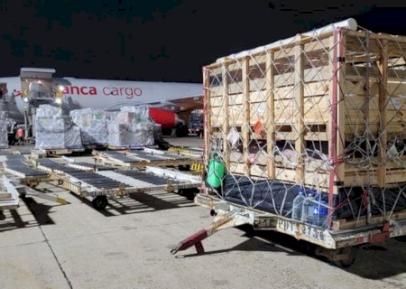 Pela primeira vez, Brasil exporta suínos reprodutores de elite via aérea para a Colômbia