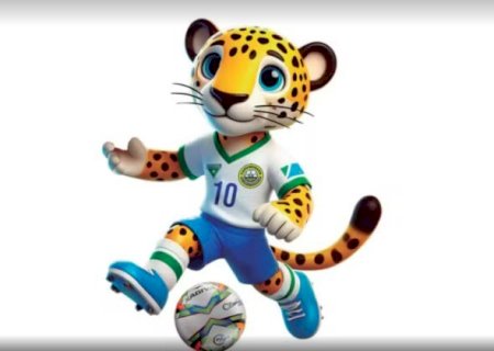 Apaixonados por futebol escolhem nome do novo mascote do Campeonato Estadual