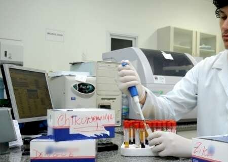 MS descarta 1ª morte suspeita por chikungunya em 2025, mas casos disparam