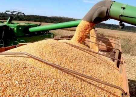 Governo lan&ccedil;a edital para destinar R$ 14,4 milh&otilde;es para promo&ccedil;&atilde;o da safra