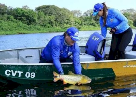 Projeto prorroga por mais dois anos proibição da pesca do dourado em MS