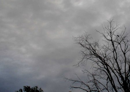 Inmet coloca todos os municípios de MS em alerta de chuva e vendaval