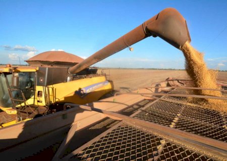 Boletim da Aprosoja-MS confirma queda nas exportações da soja em fevereiro