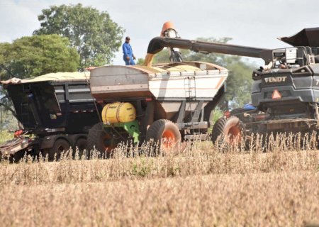 Produtividade de soja em Mato Grosso do Sul fica abaixo do custo da safra