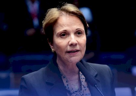 Tereza admite vontade de concorrer à vice-presidente da República&nbsp;