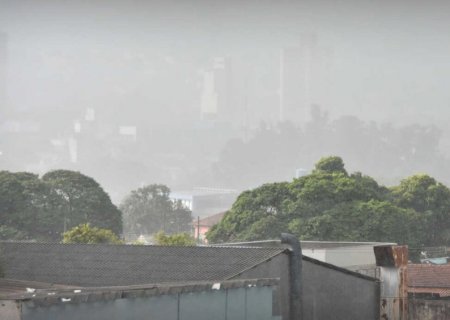 Região pantaneira de MS registrou 40 milímetros de chuva nesta madrugada