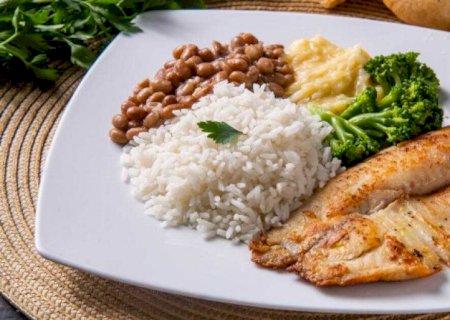 Projeto prevê inclusão da tilápia na merenda escolar e refeições institucionais