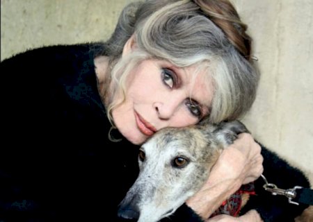 Morre a atriz Brigitte Bardot, musa do cinema francês
