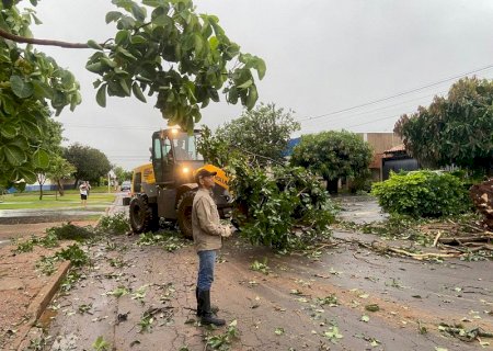 Temporal provoca queda de árvores, destelhamento e danos em veículos em Dourados