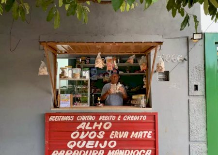 De Caarapó, Ramão investiu no alho argentino na calçada de casa e faz sucesso em bairro da Capital
