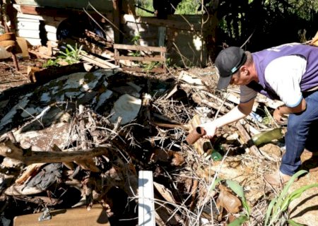 Com epidemia de chikungunya, 67% das cidades de MS têm infestação de Aedes aegypti; Caarapó está com risco médio