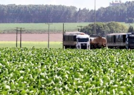MS entra no radar do BC ap&oacute;s economia crescer quase o dobro da m&eacute;dia nacional