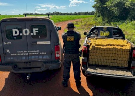 Quase uma 1 tonelada de maconha é encontrada em pickup abandonada