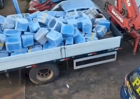 PRF apreende 4,7 toneladas de maconha escondidas em carga de girassol
