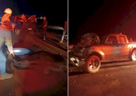 Caminhonete atinge rebanho na BR-163 e seis vacas morrem