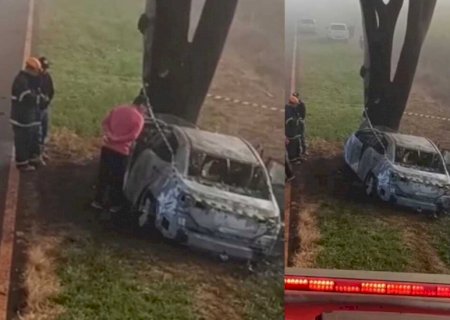 Vereador de Douradina é o sobrevivente de acidente com dois mortos na MS-379