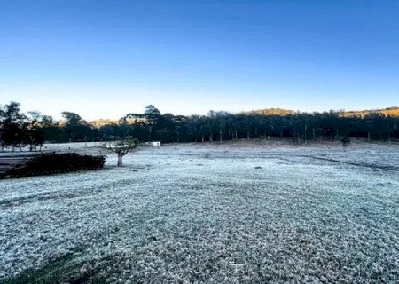 Onda de frio derruba temperaturas e provoca geada em Caarapó e mais 11 cidades de MS