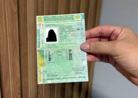 CNHs vencidas ter&atilde;o validade prorrogada at&eacute; setembro para transi&ccedil;&atilde;o de nova lei>