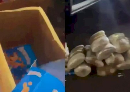 Passageiros que saíram de MS são presos com quase 200 kg de drogas