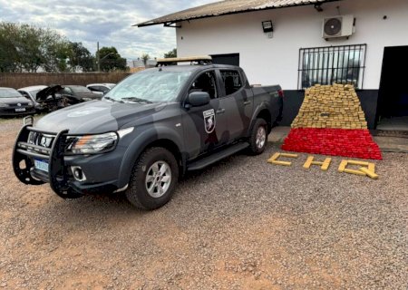 Polícia flagra depósito do tráfico com quase meia tonelada de maconha e prende mulher