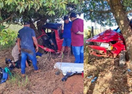 Motorista escapa com vida depois de bater em árvore em Laguna Caarapã