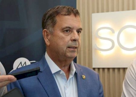 MS deve ficar fora da rota de Fl&aacute;vio, que foca grandes col&eacute;gios eleitorais