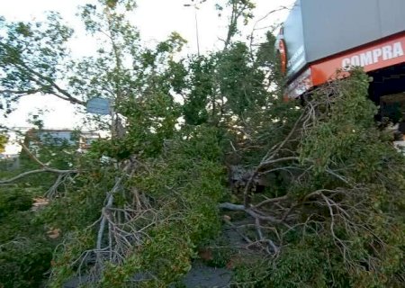 Semana come&ccedil;a com risco de temporal, granizo e ventos fortes