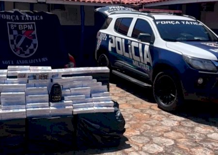 Polícia apreende cerca de 755 pacotes de cigarros durante ação