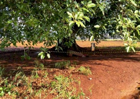 Homem é encontrado morto sob figueira em Dourados