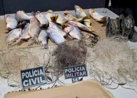Homem em liberdade condicional &eacute; preso com pistola e pescado ilegal>