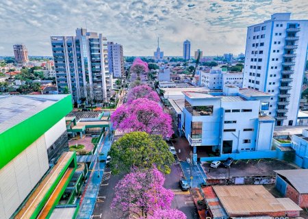 Aos 49 anos, MS se aproxima de 3 milhões de habitantes